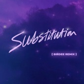 Substitution (Birdee Remix) [Extended] artwork