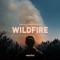 Wildfire (Extended) artwork