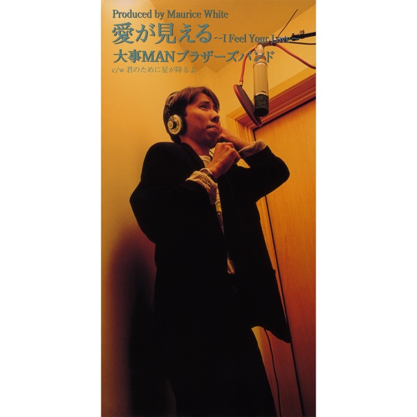 Ai Ga Mieru: I Feel Your Love - Single