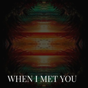WHEN I MET YOU
