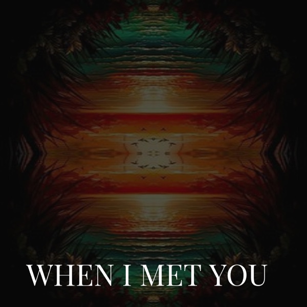 WHEN I MET YOU