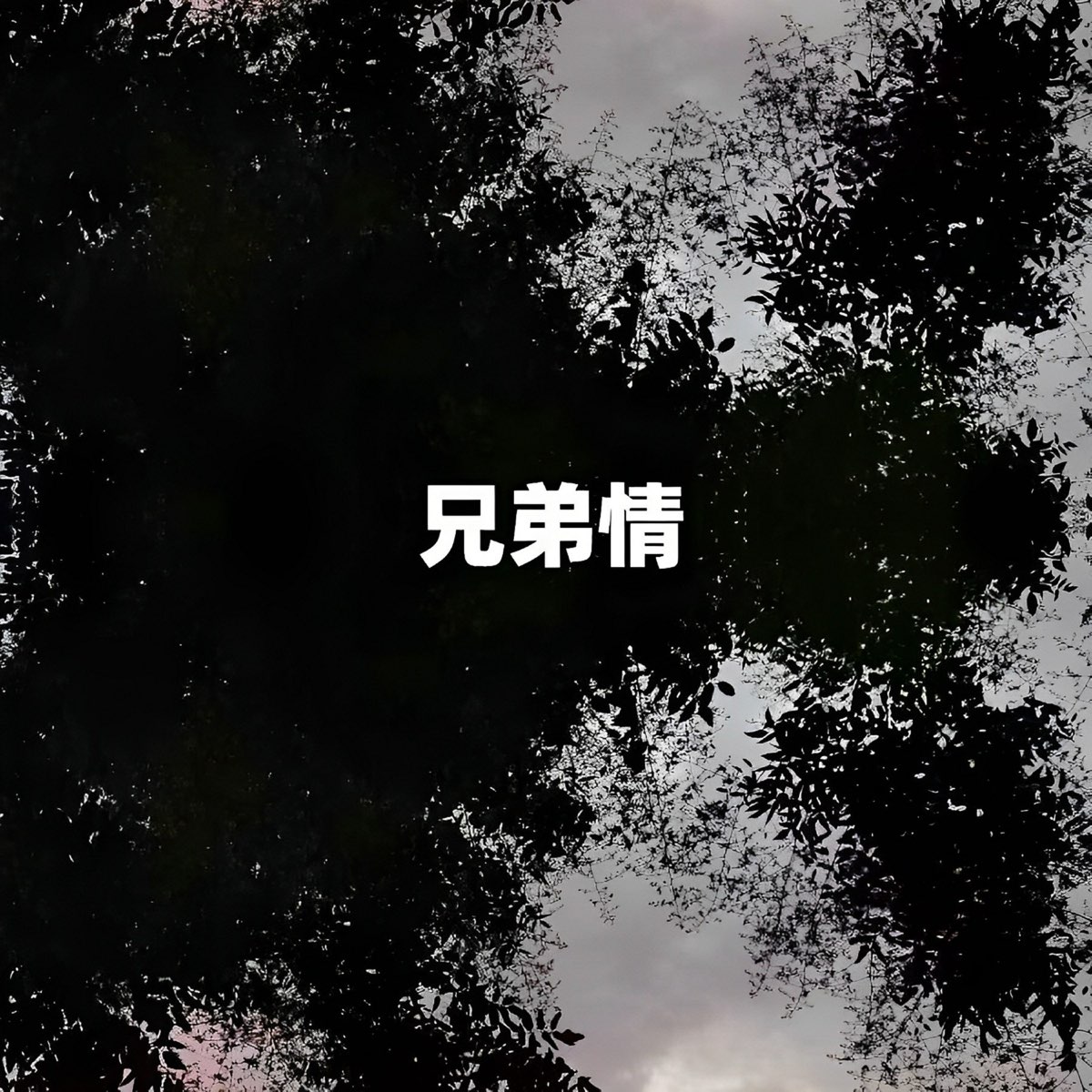 兄弟情 - Single - 于洋의 앨범 - Apple Music Apple Music에서 감상하는 于洋의 兄弟情 - Single
