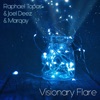 Visionary Flare (feat. Joel Deez & Marqay) - Single