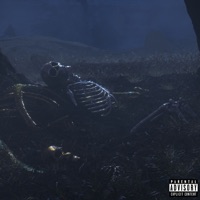 ทุกจังหวัด (feat. FIIXD & YOUNGOHM) - Single - ALREADY DEADD