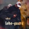 Lobo Guará - Cabral lyrics