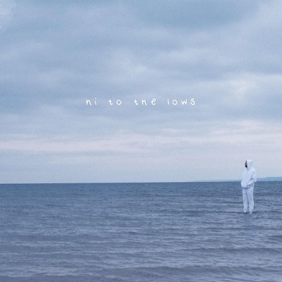 hi to the lows - Single