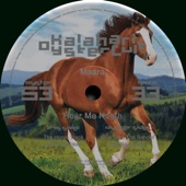 The Horse Track artwork