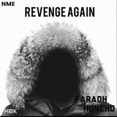 Revenge Again - Single