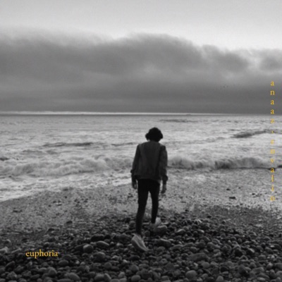 Euphoria (feat. Rovalio) - Single