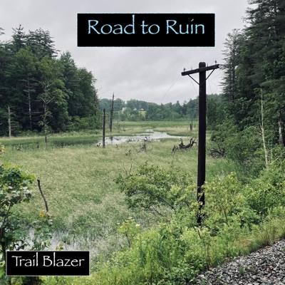 Road to Ruin - Single