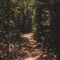 Iluka - Danny Barwick lyrics