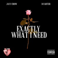 Exactly What I Need (feat. D Carter) - Single - Jayy Crow