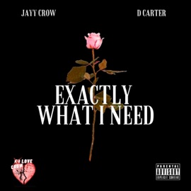 Exactly What I Need (feat. D Carter) Jayy Crow