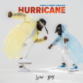 Hurricane artwork