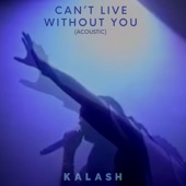 Can't Live Without You (Live Acoustic) artwork