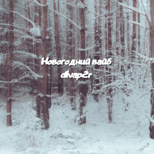 Новогодний вайб (feat. S1nl14, Babaha, Adskidrochila)