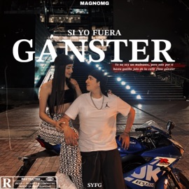 SI YO FUERA GÁNSTER Magnomg