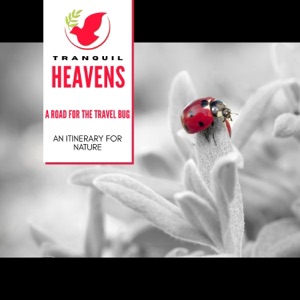 A Road For the Travel Bug- An Itinerary For Nature