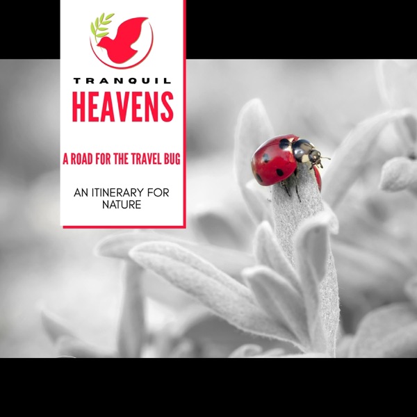A Road For the Travel Bug- An Itinerary For Nature