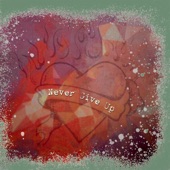 Never Give Up artwork