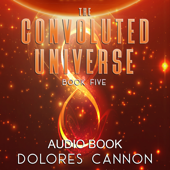 The Convoluted Universe, Book Five