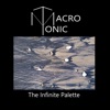Macrotonic - Fragmentary Evidence