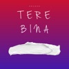 Tere Bina - Single