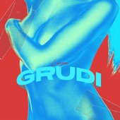 Grudi artwork