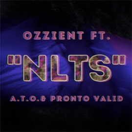 NLTS (feat. A.T.O. & Pronto Valid) Ozzient