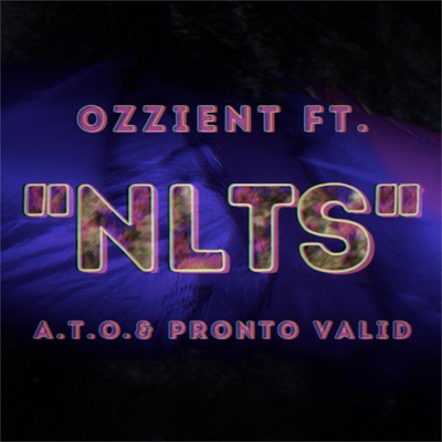 NLTS (feat. A.T.O. & Pronto Valid) - Single