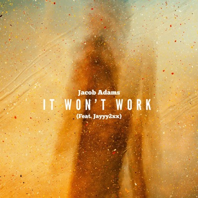IT WONT WORK (feat. Jayyy2xx) - Single