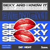 Sexy and I Know It artwork