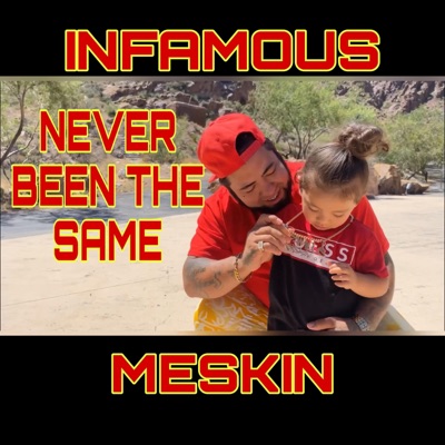 Never Been the Same - Single