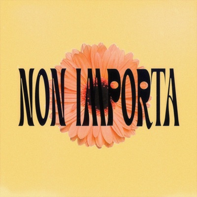 Non Importa (feat. Limpido & HAWELL) - Single