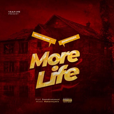 More Life (feat. Badboykidda) - Single