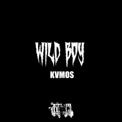 Wild Boy - Single