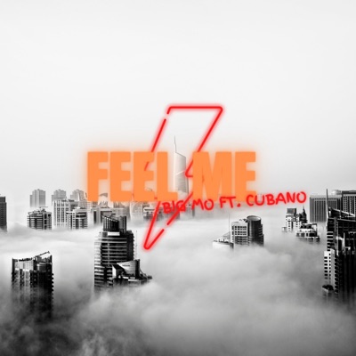 Feel me (feat. Cubano) - Single