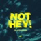 Not Hey! (Extended Mix) artwork