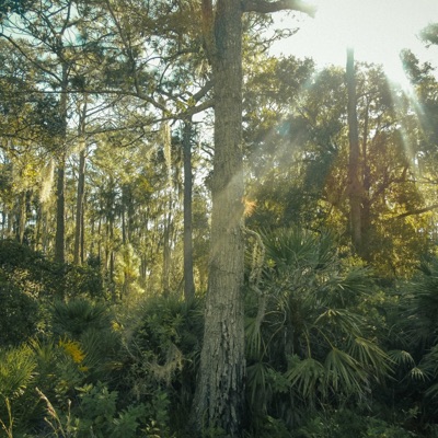 Enticing Freestyle (sjhn) - Single