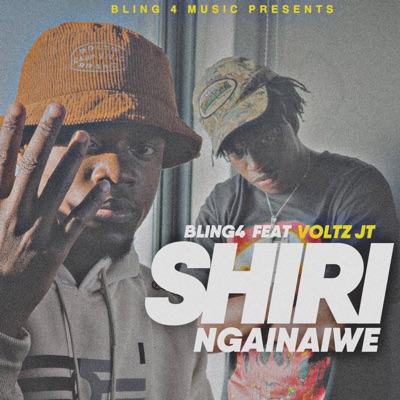Shirî Ngainaiwe (feat. Voltz JT) - Single