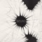 Neuro - Oly et les Cafards lyrics