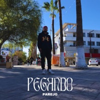 Pegando Parejo (feat. Dreamstudio MX) - Single - ASDR Martinez