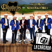 El 21 (La careada) (feat. Los sembradores) - Single - Los Caballeros de Durango