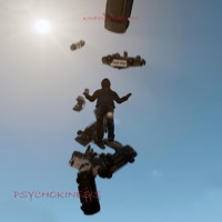 Pyschokinesis - Single - Kinfolk Wellin'