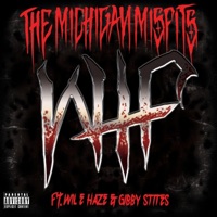 W.T.F. (feat. Gibby Stites & Wil E Haze) - Single - The Michigan Misfits
