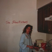 The Shackletons - Wall Socket