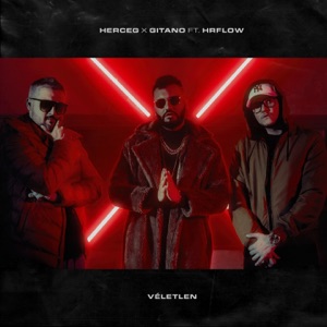 Véletlen (feat. HRflow) [Instrumental]