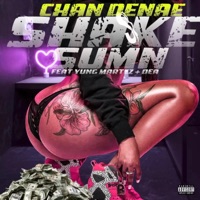 Shake Sumn (feat. Yung Martez & Dea) [Radio Edit] - Single - Chan Denae
