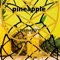 Pineapple - Namast3 lyrics