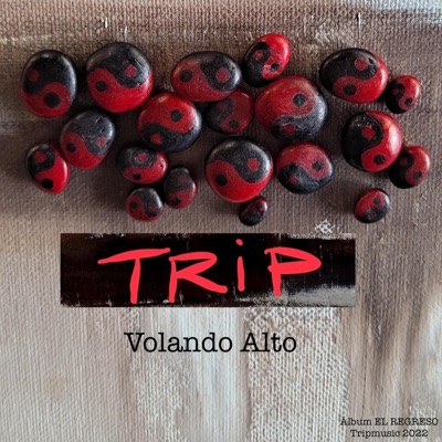 Volando Alto - Single